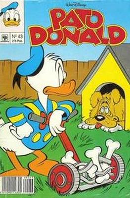 Pato Donald #43