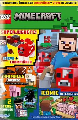 Lego Minecraft #21