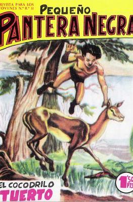 Pantera Negra / Pequeño Pantera Negra #77