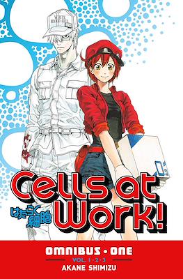 Cells at Work! Omnibus (Softcover) #1