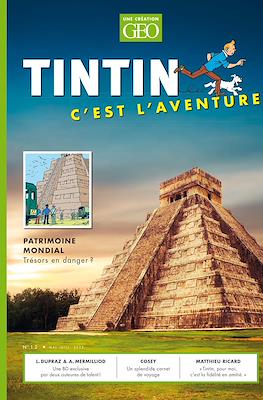 Tintin C'est l'aventure #12