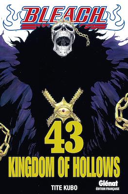 Bleach #43