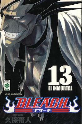 Bleach (Rústica) #13