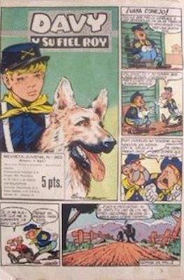 Rin-tin-tin / Davy y su fiel Roy #365