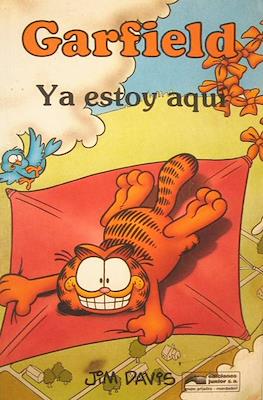 Garfield (Rústica) #11