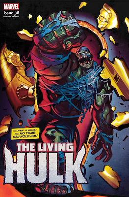 The Immortal Hulk (2018- Variant Cover) #38.1