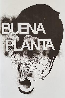 Buena planta #5