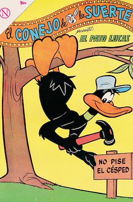 El conejo de la suerte #183