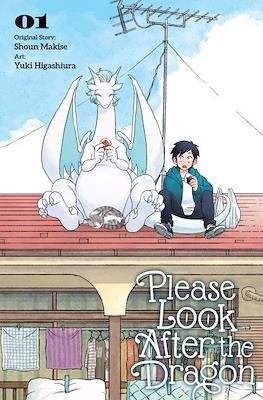 Please Look After the Dragon #1