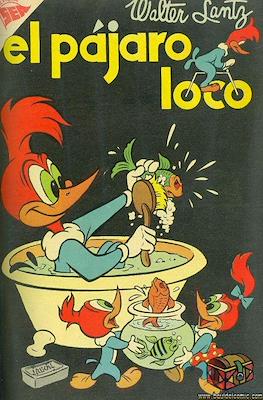 El pájaro loco #63