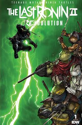 Teenage Mutant Ninja Turtle: The Last Ronin II Re-Evolution (Variant Cover) #1.8