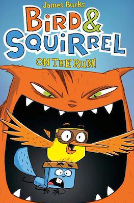 Bird & Squirrel