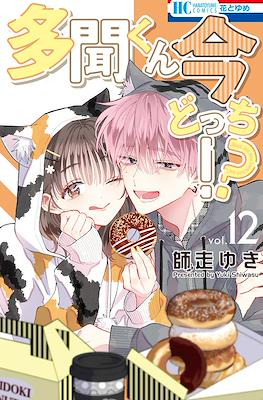多聞くん今どっち!? (Tamon-kun Ima Docchi!?) #12