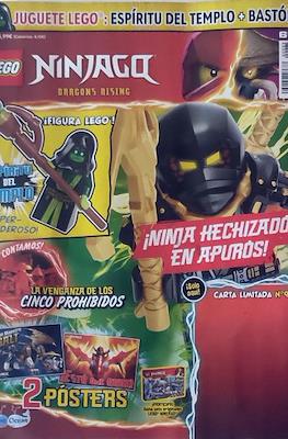 Lego Ninjago #65