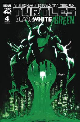 Teenage Mutant Ninja Turtles: Black, White & Green #4