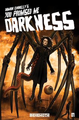 You Promised Me Darkness (Variant Cover) #1.5