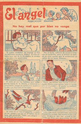El Ángel #312