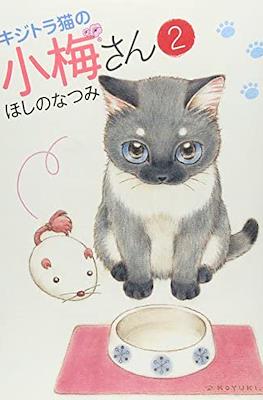 キジトラ猫の小梅さん 虎斑猫小梅 (Kijitora Neko no Koume-san) #2