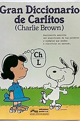 Gran Diccionario de Carlitos (Charlie Brown) #2