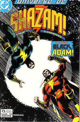 Universo DC (1989-1992) #13