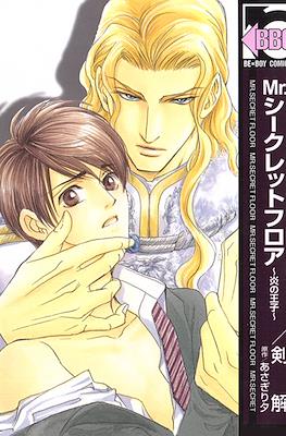 Mr. Secret Floor #2