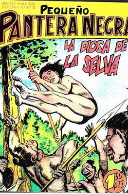 Pantera Negra / Pequeño Pantera Negra #109