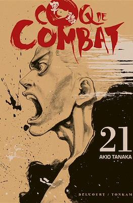Coq de combat #21