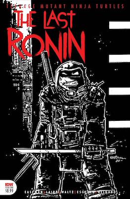 Teenage Mutant Ninja Turtles: The Last Ronin (Variant Cover) (Comic Book) #1.02