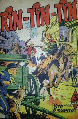 Rin-tin-tin / Davy y su fiel Roy #148