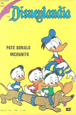 Disneylandia #490