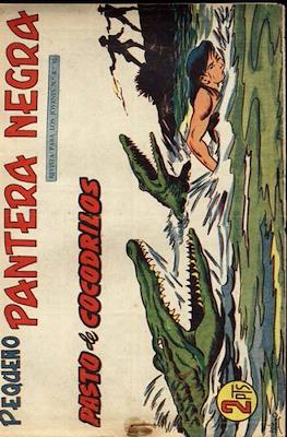 Pantera Negra / Pequeño Pantera Negra #241