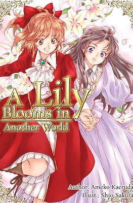 A Lily Blooms in Another World