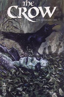 The Crow #10