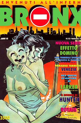 Bronx #13