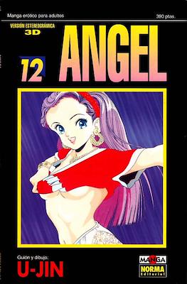 Angel (Rústica) #12