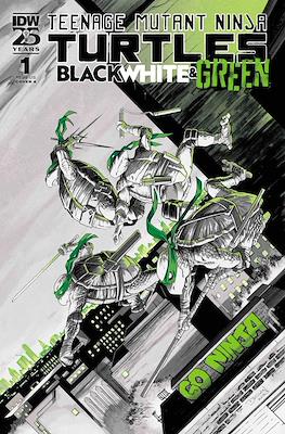 Teenage Mutant Ninja Turtles: Black, White and Green #1