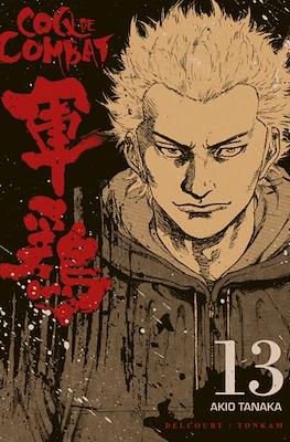 Coq de combat #13