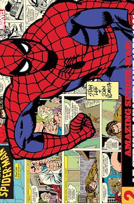 Amazing Spider-Man: Le Strisce Quotidiane #2