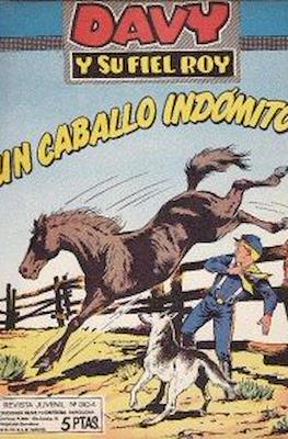 Rin-tin-tin / Davy y su fiel Roy #304