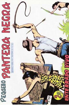 Pantera Negra / Pequeño Pantera Negra #251