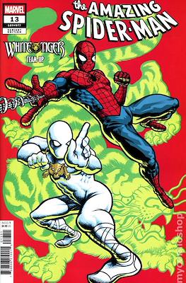 The Amazing Spider-Man Vol. 7 (2025-Variant Covers) #13.3