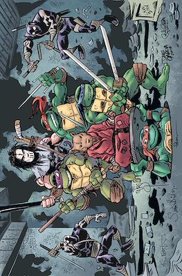 Teenage Mutant Ninja Turtles (2011-...Variant Covers) #100.94