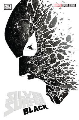 Silver Surfer: Black (Portadas Variantes) (Grapa) #2
