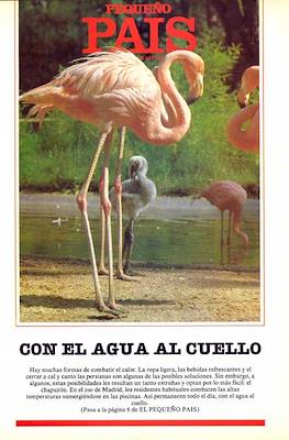 El Pequeño País #93
