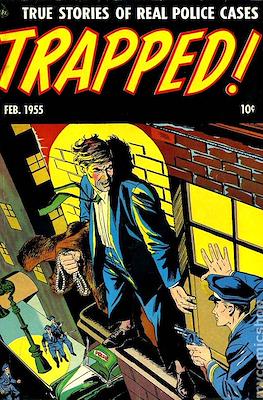 Trapped! True Stories of Real Police Cases #3