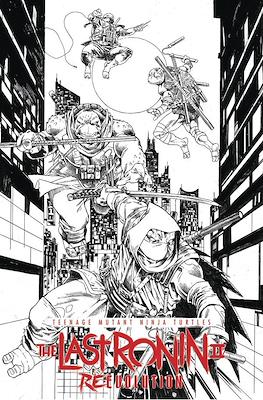 Teenage Mutant Ninja Turtle: The Last Ronin II Re-Evolution (Variant Cover) #1.6