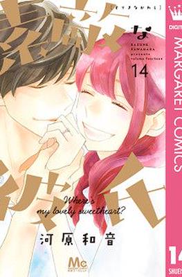 素敵な彼氏 Wheres My Lovely Sweetheart? (Suteki na Kareshi) #14