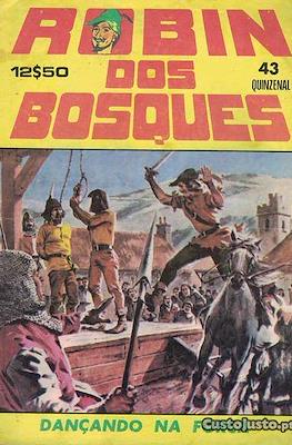 Robin dos Bosques #43