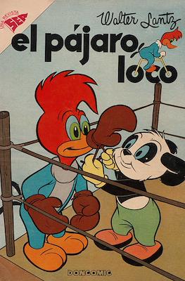 El pájaro loco #138