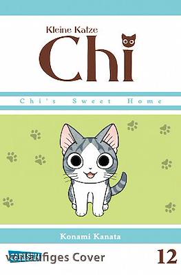 Kleine Katze Chi #12